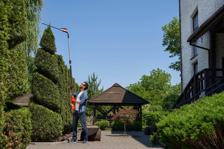 skilful-male-landscaper-using-high-altitude-hedge-trimmer-topiary-park-side-view-focused